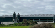 Milking parlour farm shed