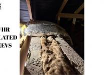 high performance homes NI